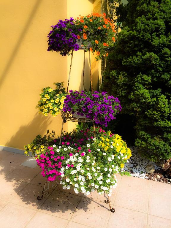 Le Pinette Bed & Breakfast Ameglia Eksteriør bilde