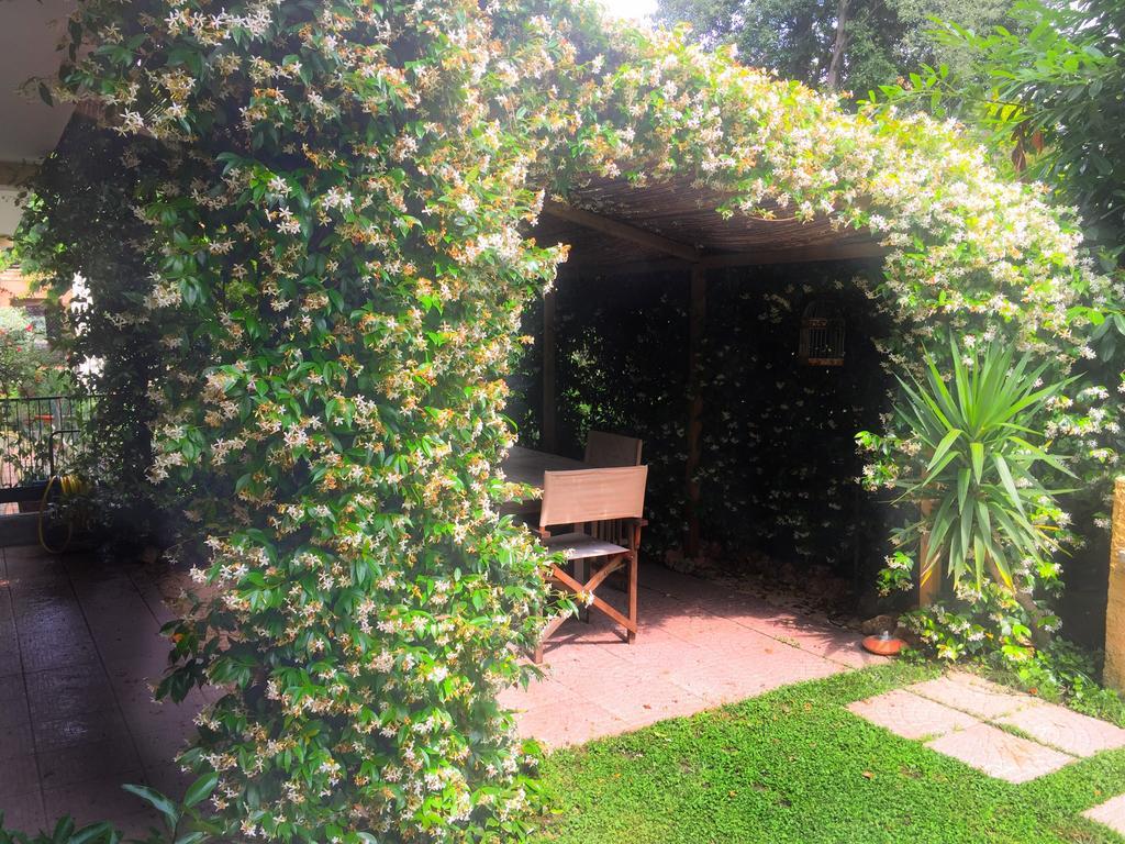 Le Pinette Bed & Breakfast Ameglia Eksteriør bilde