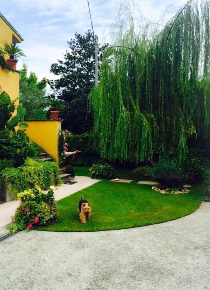 Le Pinette Bed & Breakfast Ameglia Eksteriør bilde
